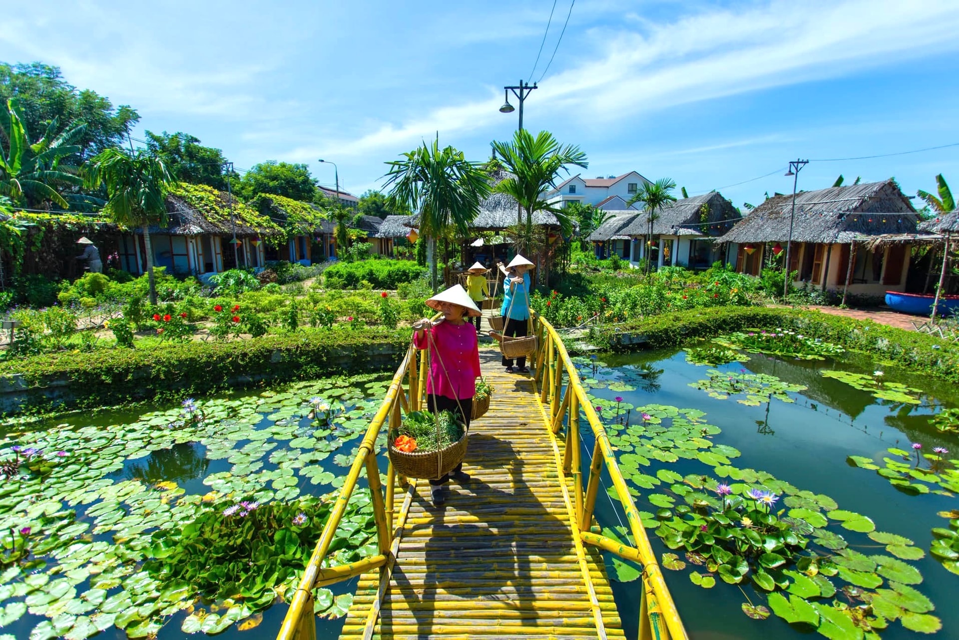 Du lịch Việt Nam 2025 vinh danh 10 'khách sạn xanh' hàng đầu - 12