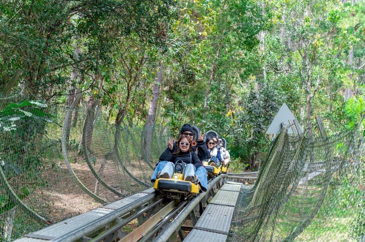 Dalattourist: 50 năm bền bỉ sứ mệnh phát triển du lịch xanh cùng Đà Lạt- Ảnh 4.